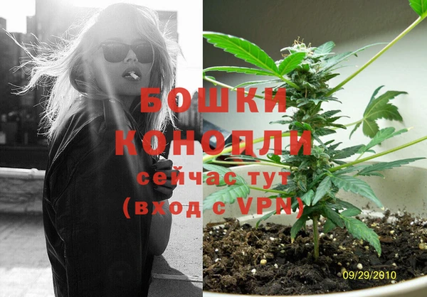 тгк Арсеньев