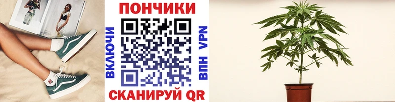 даркнет какой сайт Каменногорск Каннабис марихуана